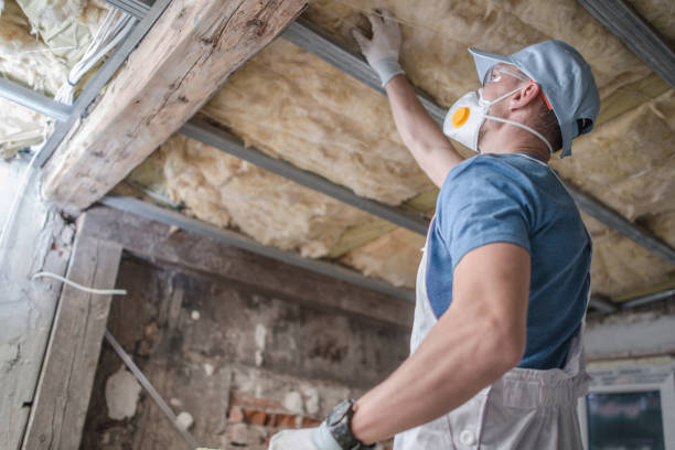 Best Insulation Maintenance and Repair in Seven Corners, VA